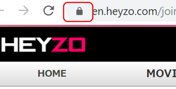 the evidence image that HEYZO is encrypted