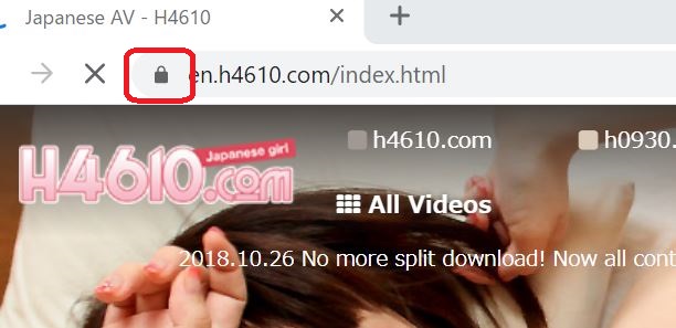 Evidence image that the H4610 is encrypted