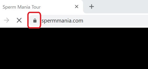 ザーメンマニアがSSLで暗号化されている証拠画像