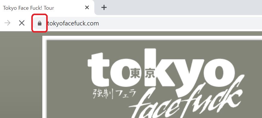 東京強制フェラがSSLで暗号化されている証拠画像
