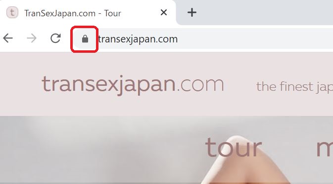 トランスセックスジャパンがSSLで暗号化されている証拠画像